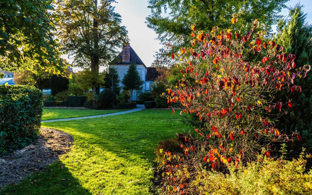 Jardin paysager aménagé avec massifs et pelouse